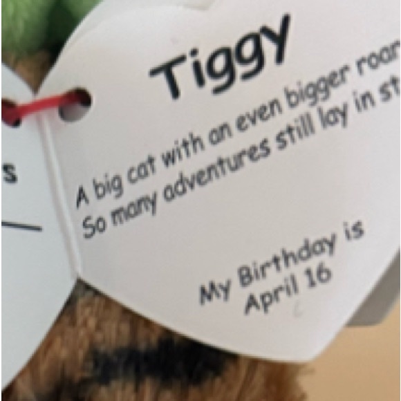 Ty- The Beanie Boo’s Plush Collection-Tiggy - Picture 7 of 8